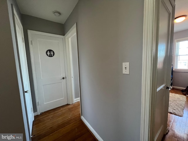 hall featuring dark hardwood / wood-style floors