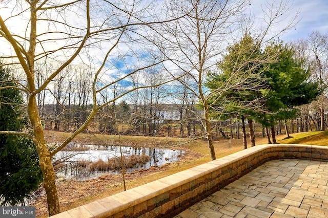 view of water feature