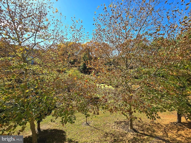 view of landscape