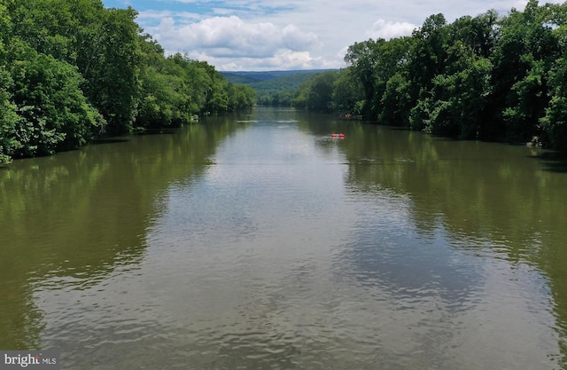 water view with a wooded view