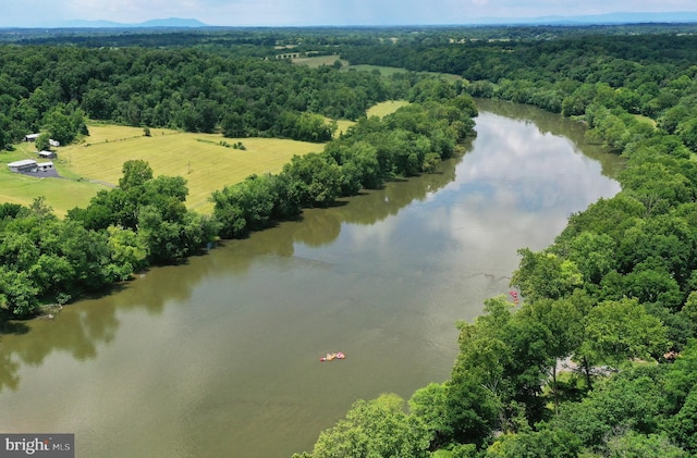 bird's eye view with a forest view and a water view