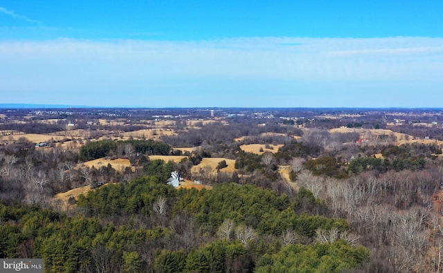 bird's eye view