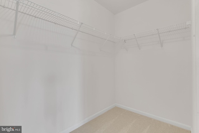 spacious closet featuring light colored carpet