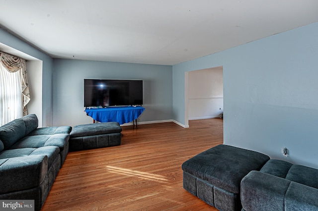 living room featuring hardwood / wood-style flooring