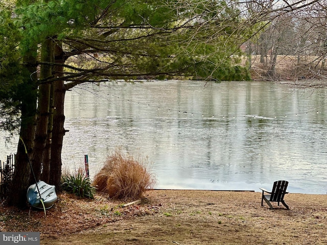 view of water feature