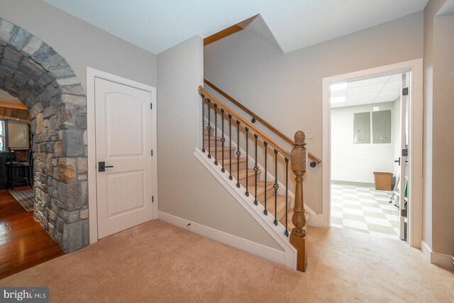 stairway featuring a paneled ceiling, baseboards, and carpet flooring