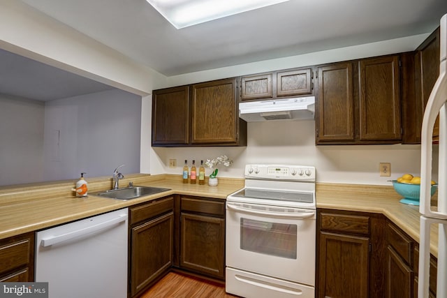 kitchen with dark brown cabinetry, white appliances, light countertops, under cabinet range hood, and a sink