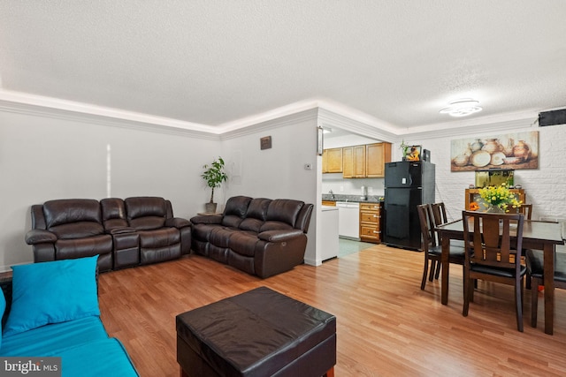 living room with crown molding, a textured ceiling, and light wood-type flooring