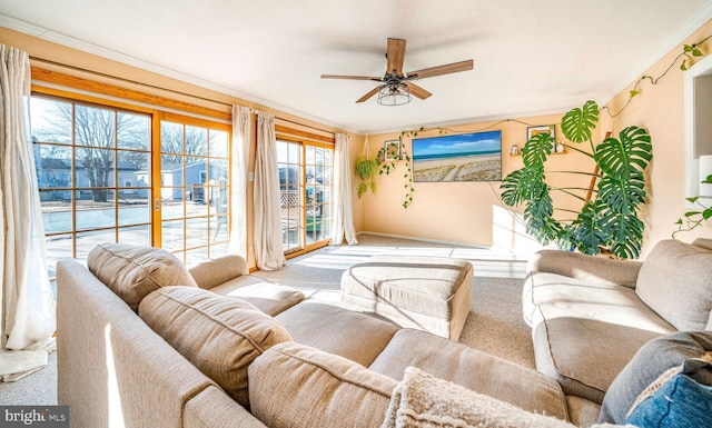 living room featuring crown molding, ceiling fan, and light carpet