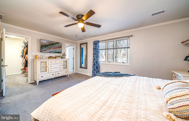 carpeted bedroom with ornamental molding, a walk in closet, and ceiling fan