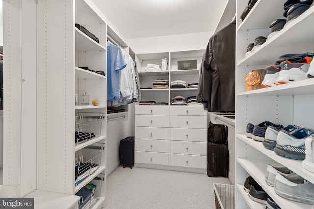 view of spacious closet