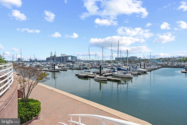 water view with a dock