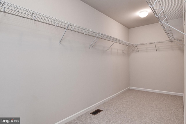 spacious closet featuring carpet