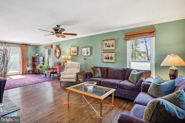 living area with crown molding, wood-type flooring, a ceiling fan, and a healthy amount of sunlight