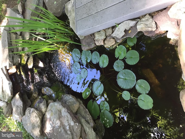 exterior details featuring a garden pond