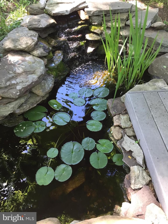 details with a garden pond