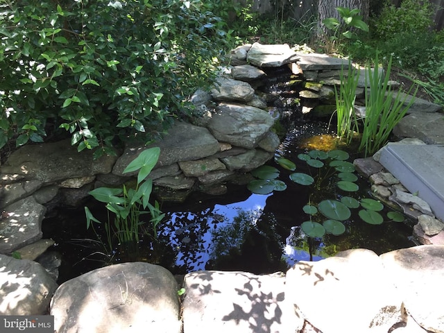 details featuring a small pond