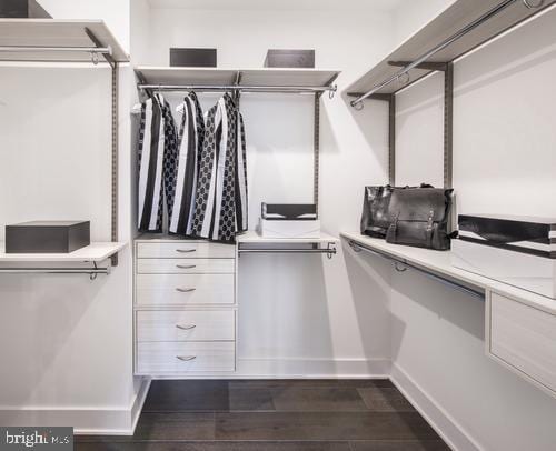 spacious closet featuring dark hardwood / wood-style flooring