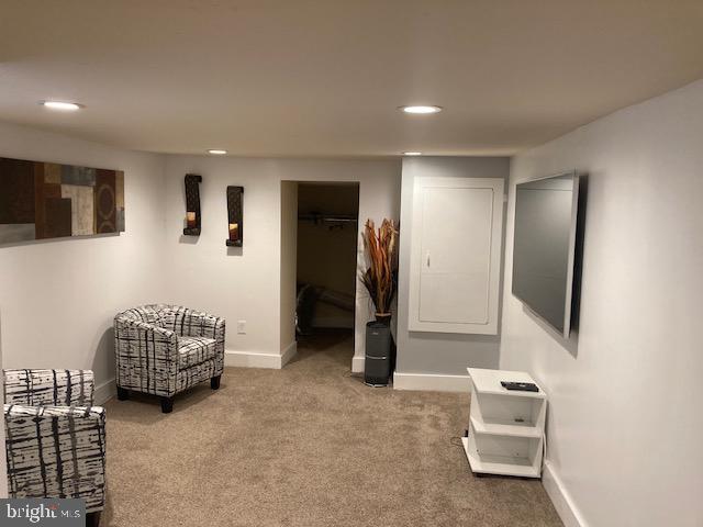 living area featuring carpet flooring