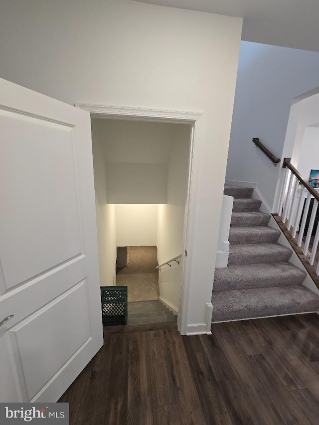 stairway featuring hardwood / wood-style flooring