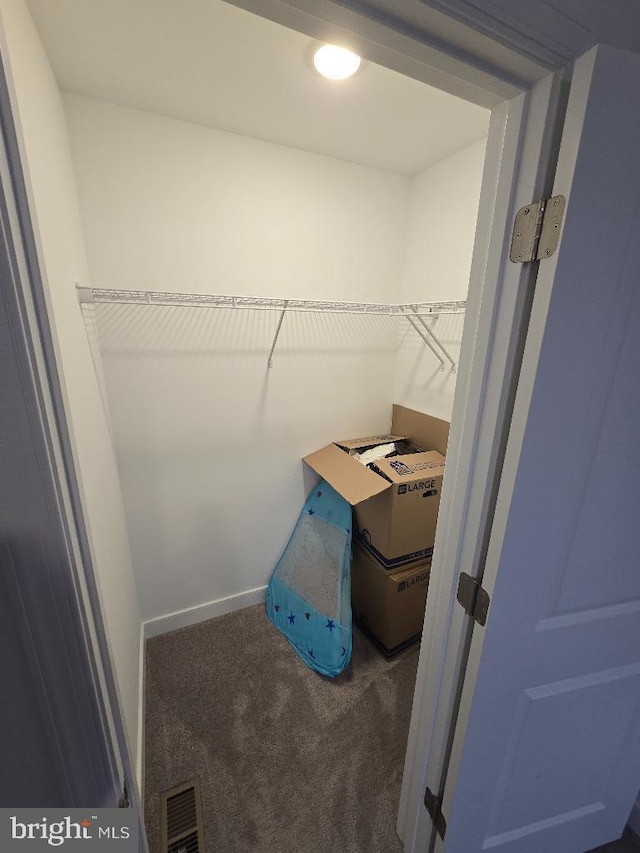 spacious closet featuring carpet floors