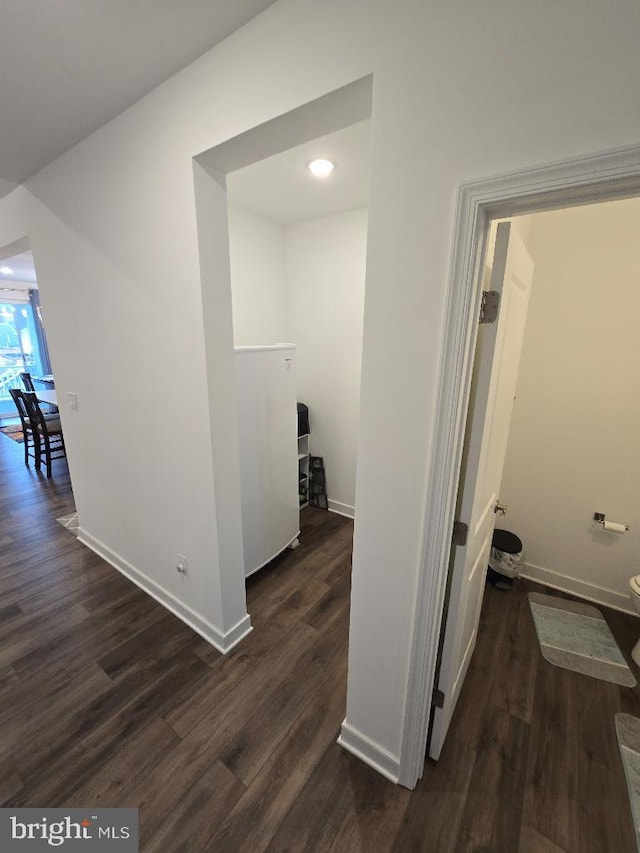 hallway featuring dark hardwood / wood-style flooring