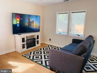 living room featuring hardwood / wood-style floors