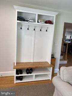 mudroom featuring wood-type flooring