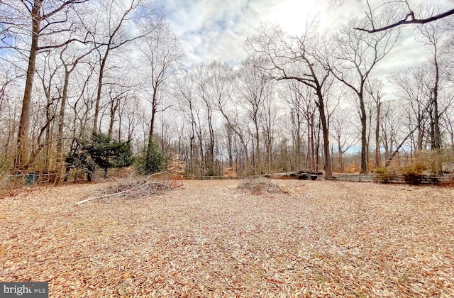 5425 Indian Head Hwy, Indian Head, MD 20640 - view of nature