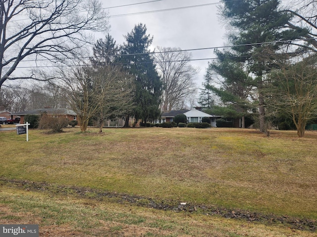 5425 Indian Head Hwy, Indian Head, MD 20640 - view of yard