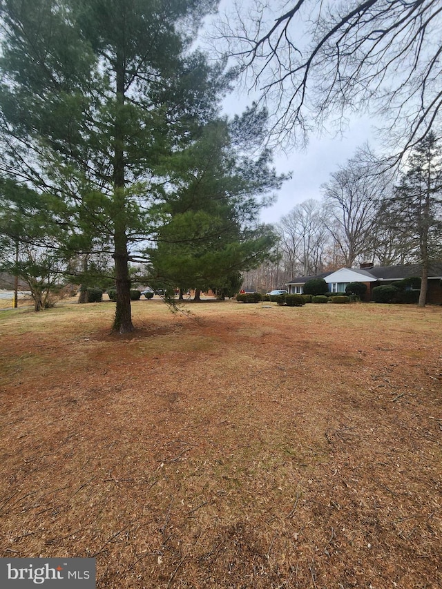 5425 Indian Head Hwy, Indian Head, MD 20640 - view of yard