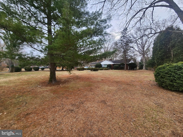 5425 Indian Head Hwy, Indian Head, MD 20640 - view of yard
