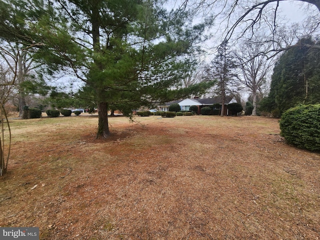 5425 Indian Head Hwy, Indian Head, MD 20640 - view of yard