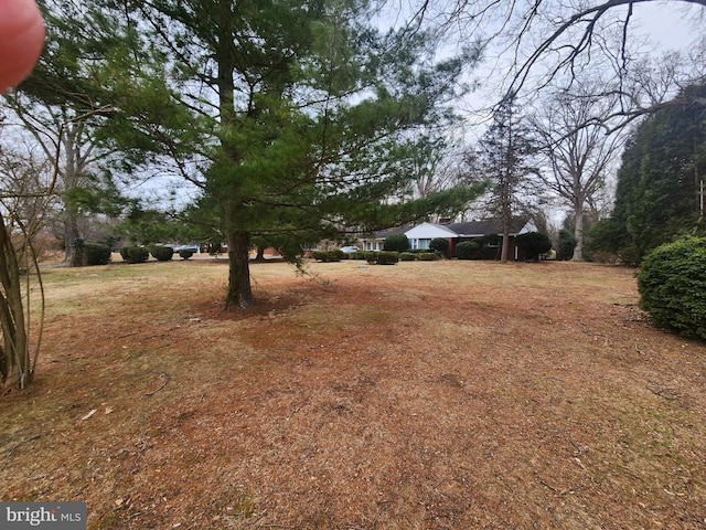 5425 Indian Head Hwy, Indian Head, MD 20640 - view of yard