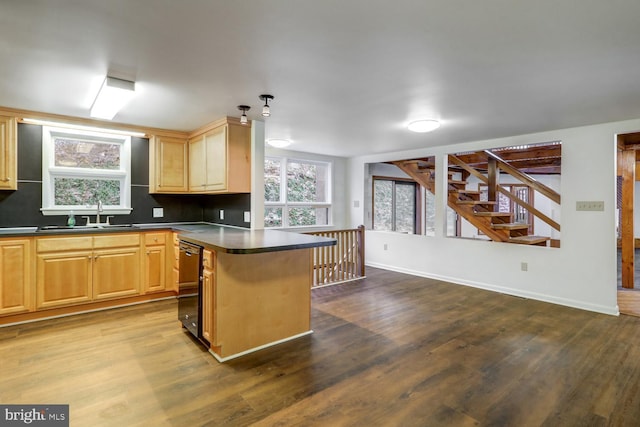 kitchen featuring dark wood-type flooring, a kitchen breakfast bar, sink, and light brown cabinets