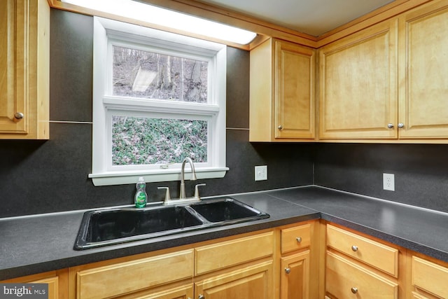 kitchen with tasteful backsplash and sink