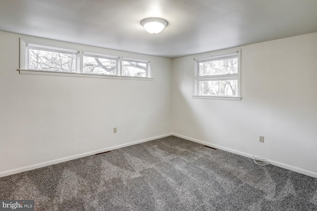 basement featuring carpet floors