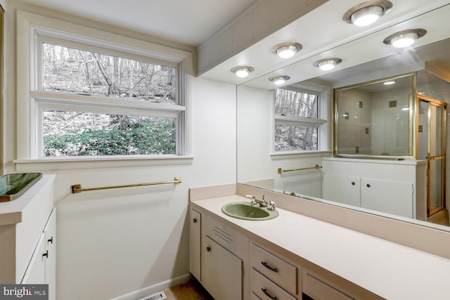 bathroom with walk in shower and vanity