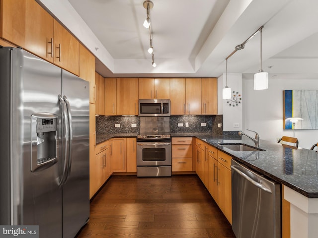 kitchen featuring sink, hanging light fixtures, appliances with stainless steel finishes, a tray ceiling, and backsplash