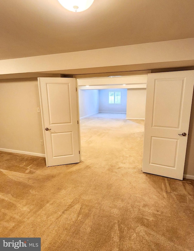 additional living space featuring carpet