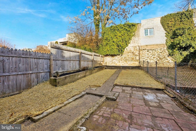 view of yard featuring a patio