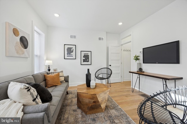 living room with hardwood / wood-style floors