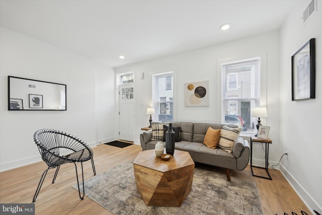 living room featuring wood-type flooring