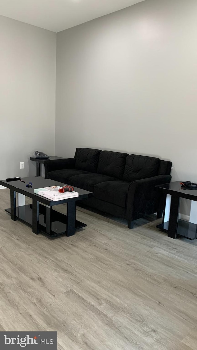 living room featuring light hardwood / wood-style floors