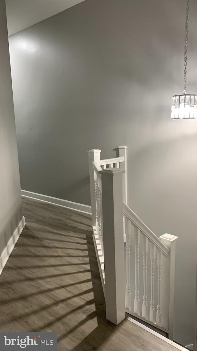 stairway with wood-type flooring