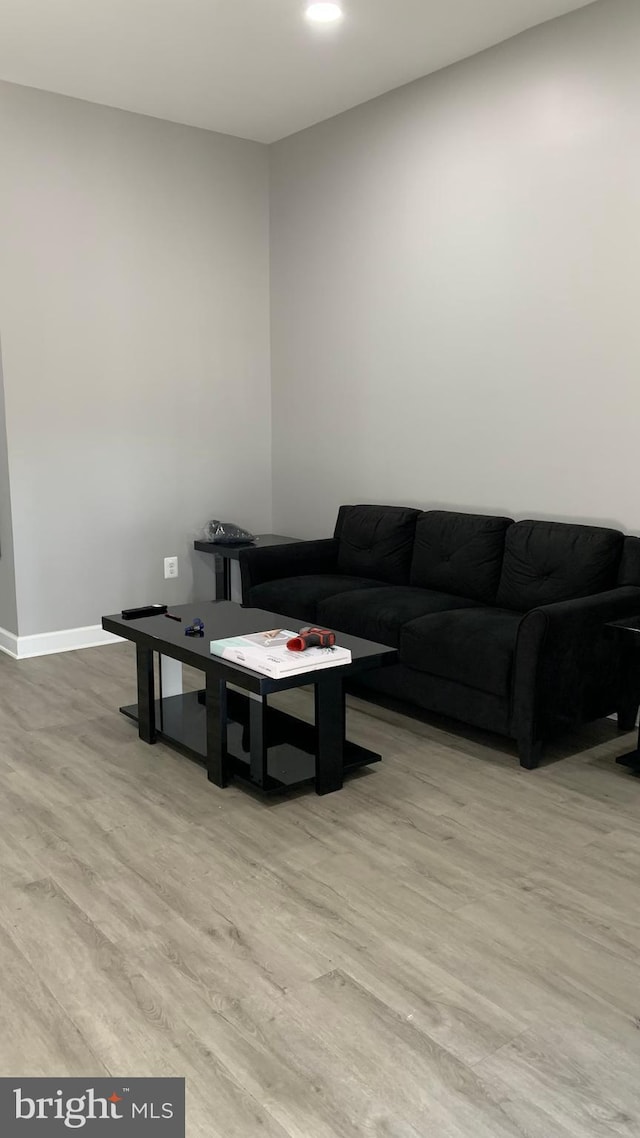 living room with light hardwood / wood-style flooring