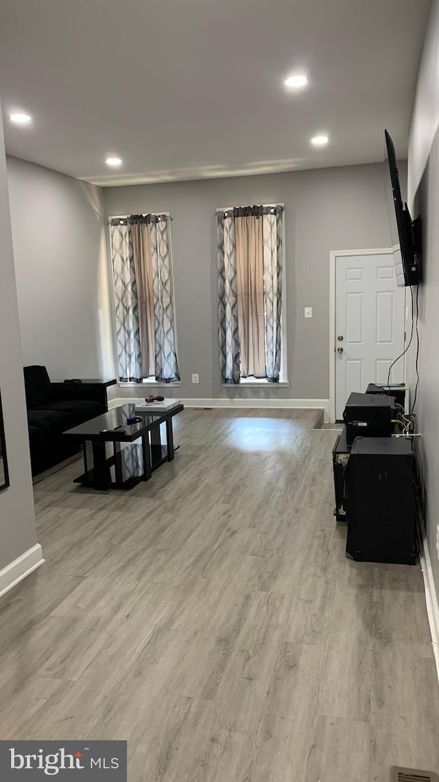 living room with wood-type flooring