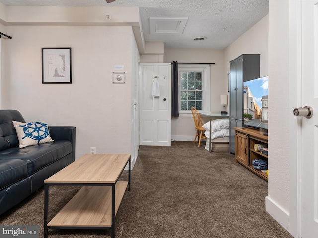 carpeted living room with a textured ceiling