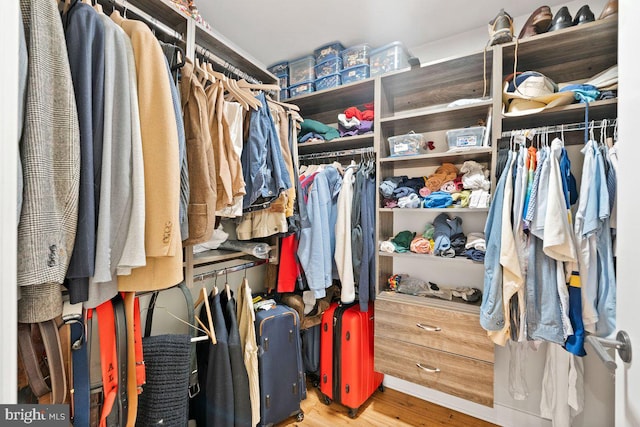 walk in closet featuring wood-type flooring