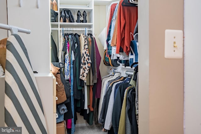 view of spacious closet